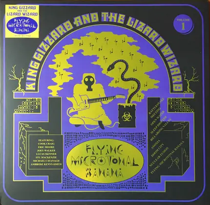 King Gizzard And The Lizard Wizard - Flying Microtonal Banana