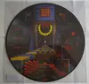 Picture LP - King Gizzard And The Lizard Wizard - Polygondwanaland