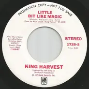 King Harvest - Little Bit Like Magic
