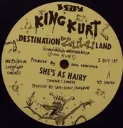 12inch Vinyl Single - King Kurt - Destination Zululand