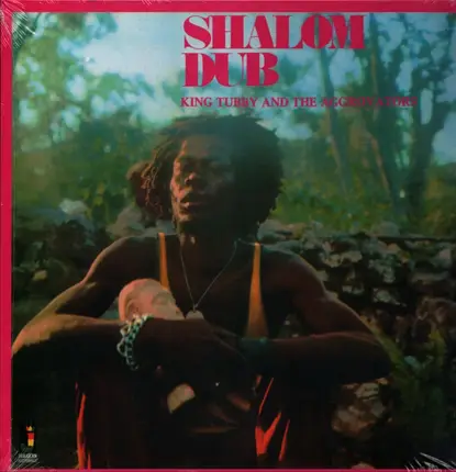 King Tubby & Aggrovators - Shalom Dub