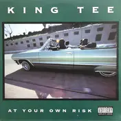 king t - At Your Own Risk