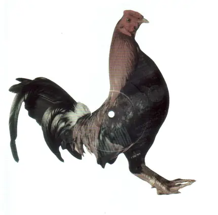 King Kurt - Big Cock