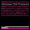 12inch Vinyl Single - Kingsize Funk - Release The Pressure