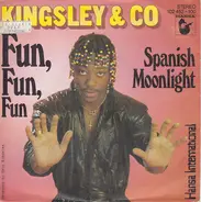 Kingsley & Co. - Fun, Fun, Fun