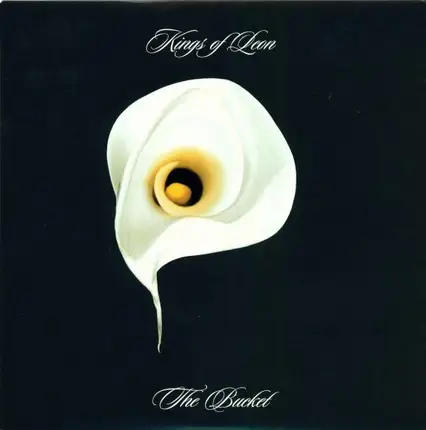 Kings Of Leon - The Bucket
