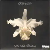 Kings of Leon - Aha Shake Heartbreak