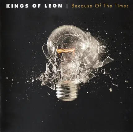 Kings Of Leon - Because of the Times