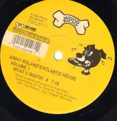 kinky roland - Kinky Roland's Atlantic House Volume 1