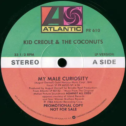 Kid Creole And The Coconuts - My Male Curiosity