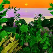 Kid Simius - Good Things