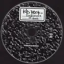 CD - Kid Rock - The History Of Rock