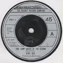 7inch Vinyl Single - Kiki Dee - One Jump Ahead Of The Storm