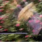 12inch Vinyl Single - Kirsty Hawkshaw - Leafy Lane