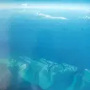 LP - Kishin Shinoyama - 激写 Sounding Carib - + Insert