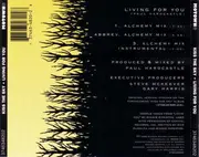 CD Single - Kiss The Sky - Living For You