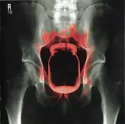 CD - Kittie - Oracle