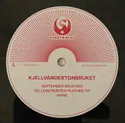 LP - Kjellvandertonbruket - Fossils
