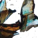 Double LP - Konduku - White Heron