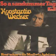 Konstantin Wecker - So a saudummer Tag