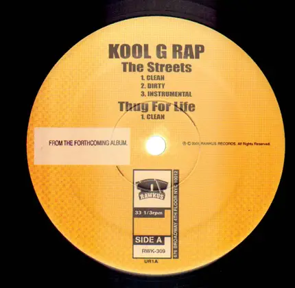 Kool G Rap - the streets