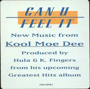 Kool Moe Dee - Can U Feel It