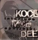 LP - Kool Moe Dee - Interlude