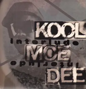 Kool Moe Dee - Interlude