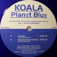Koala - Planet Blue