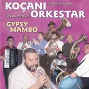 Kocani Orkestar - Gypsy Mambo