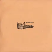 Koen Holtkamp - Field Rituals