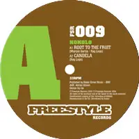 Kokolo Afrobeat Orchestra - Root To The Fruit