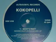 12inch Vinyl Single - Kokopelli - What's That?