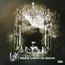 Double LP - Korn - Take A Look In The Mirror