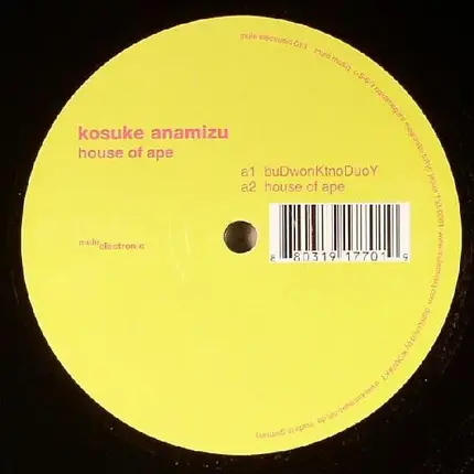 KOSUKE ANAMIZU - House of Ape