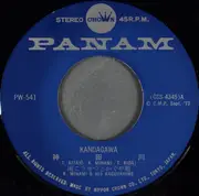 7inch Vinyl Single - Kosetsu Minami と Kaguyahime - 神田川