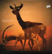 12inch Vinyl Single - Kosheen - Catch