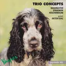 CD - Klaus Wagenleiter , Thomas Stabenow , Harald Rüschenbaum - Trio Concepts