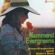 Klaus Wunderlich - Hammond Evergreens - Klaus Wunderlich Spielt Robert Stolz
