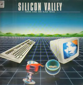 Raven Kane - Silicon Valley