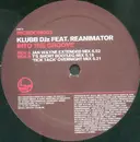 12inch Vinyl Single - Klubb DJz Feat. ReAnimator - Into The Groove