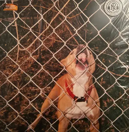 Knocked Loose - Pop Culture