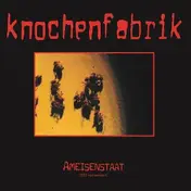 Knochenfabrik - Ameisenstaat - Kernsaniert