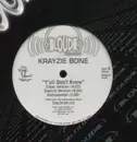12inch Vinyl Single - Krayzie Bone - Y'all Don't Know