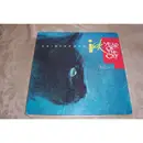 12inch Vinyl Single - Kris Isak - Year Of The Cat