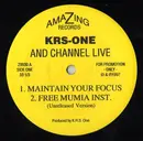 12inch Vinyl Single - KRS-One And Channel Live - Maintain Your Focus