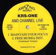 KRS-One And Channel Live - Maintain Your Focus