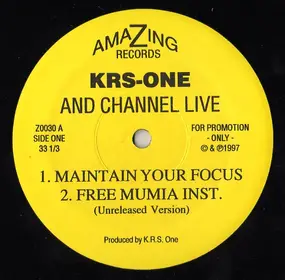 KRS-One And Channel Live - Maintain Your Focus