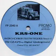 KRS-One - Cyber Teeth Tigers