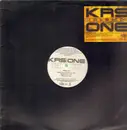 12inch Vinyl Single - KRS One - Hot